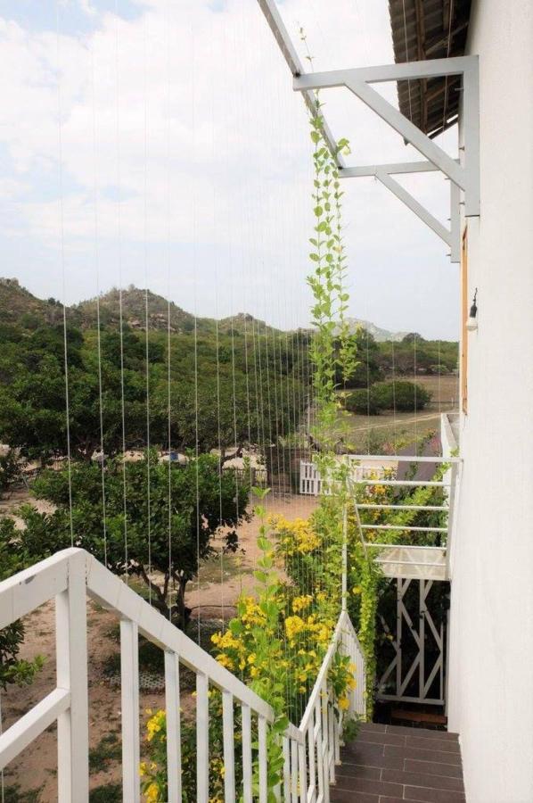 Villa Dao Hoa Vang Cam Ranh - Venuestay Exteriör bild